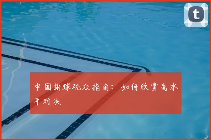 中国排球观众指南:如何欣赏高水平对决
